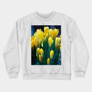 Yellow crocus Crewneck Sweatshirt